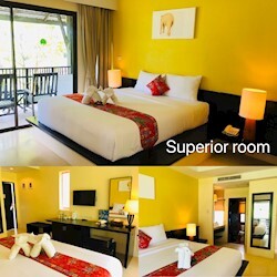 Superior Room