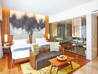 Deluxe Lagoon View