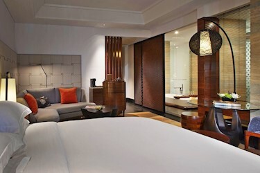 Luxury Room