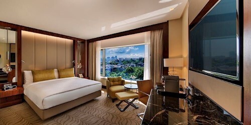 Deluxe Park View Room