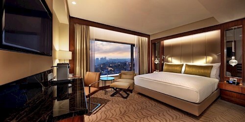 Deluxe City View Room