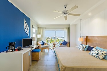 Deluxe Room Pool View