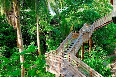 Treetop Pool Villa