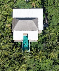 Treetop Pool Villa