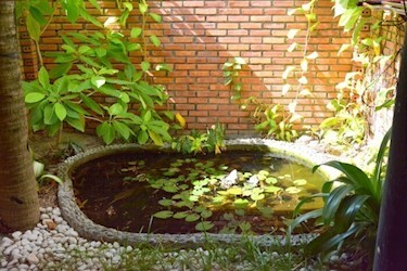 Bungalow Garden View