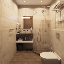 Premier Room