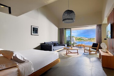 Ruby Suite with Plunge Pool Sea View