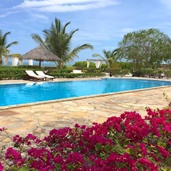 Beach Front Bungalow