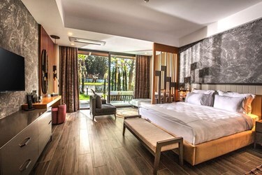 Large Deluxe Room Garden