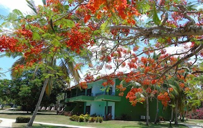 Villa Garden View