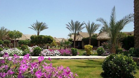 Bungalow Pool /Garden