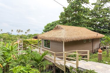 Superior Villa