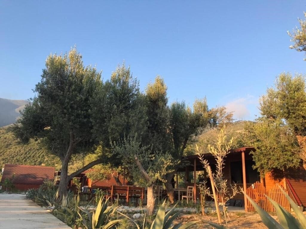 Отель Violeta Apartments апартаменты