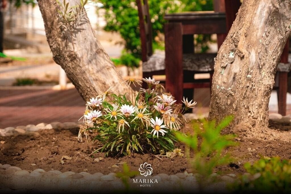 Fotografie Marika 3*