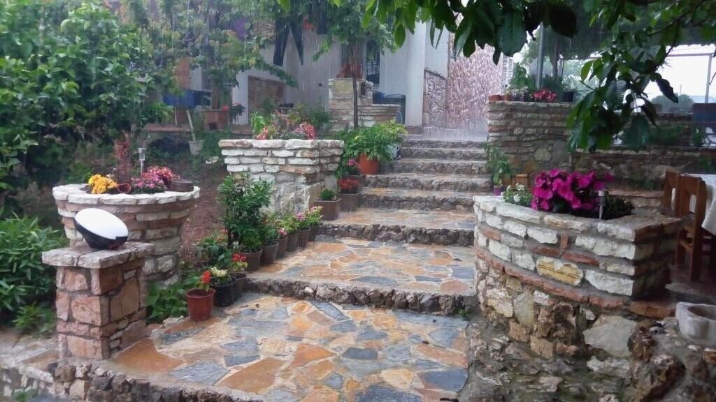 Fotografii John'S Guesthouse 3*