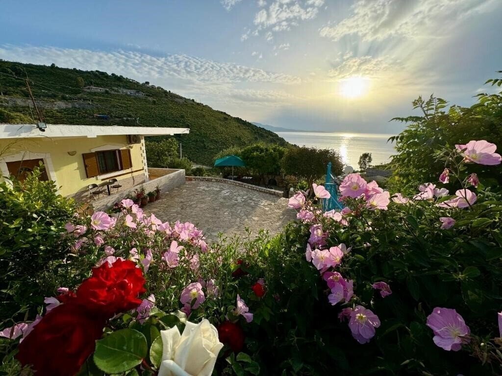 Imaginea Vila Paza Apartments 2*