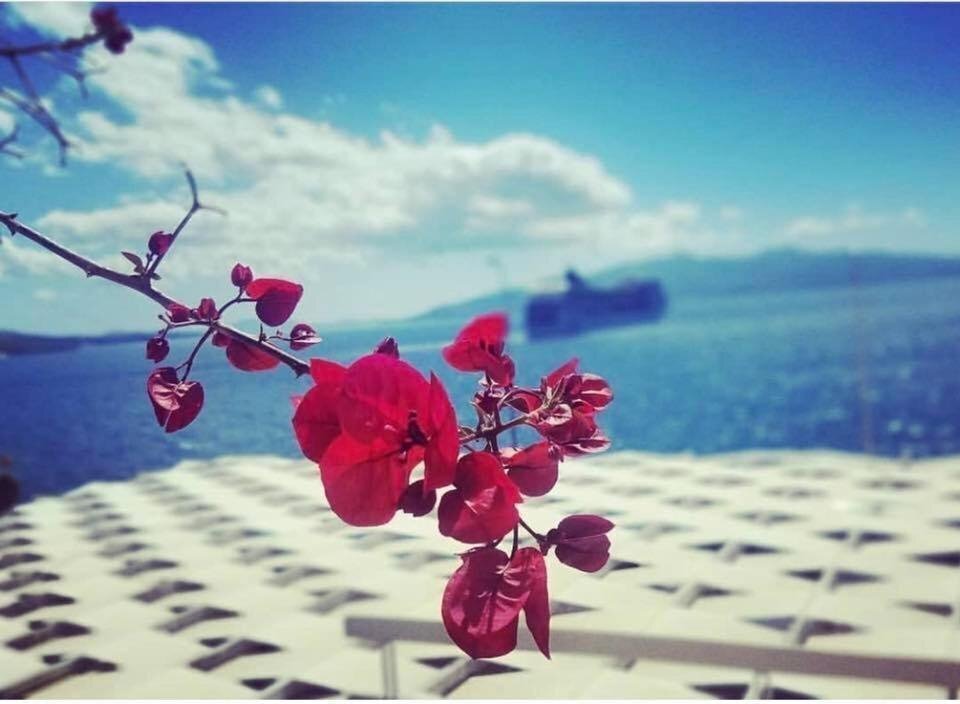 Fotografie Erdano 3*