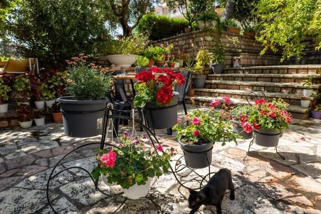 Fotografii Green Garden Villa 3*