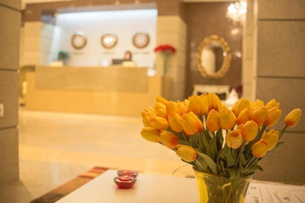 Изображение Opera 4*