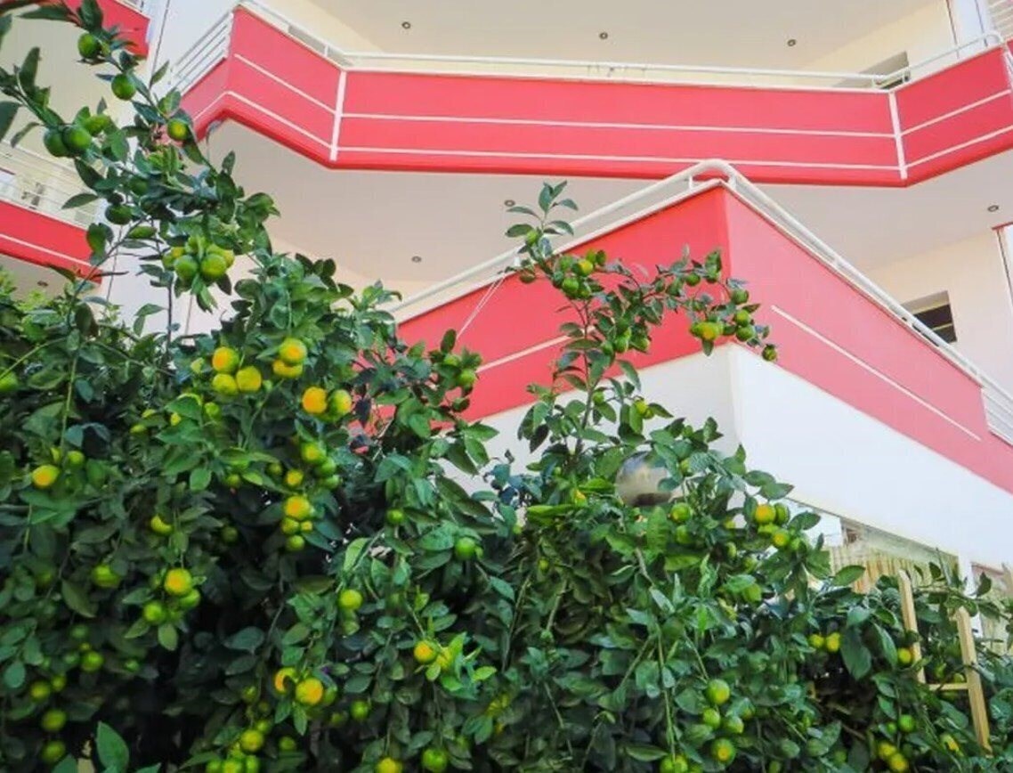 Fotografie Hotel Leon's (ex. Hotel Leon, Hotel Leons) 3*