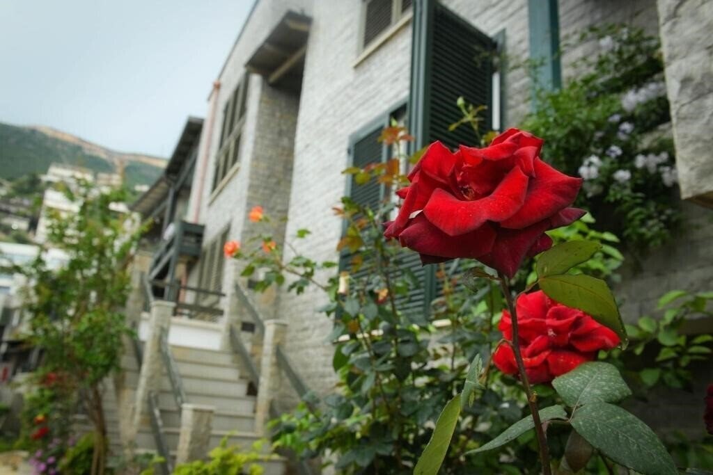 Imaginea Dorina App 3*