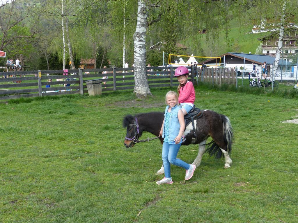 Фото Schmittenhof 4*