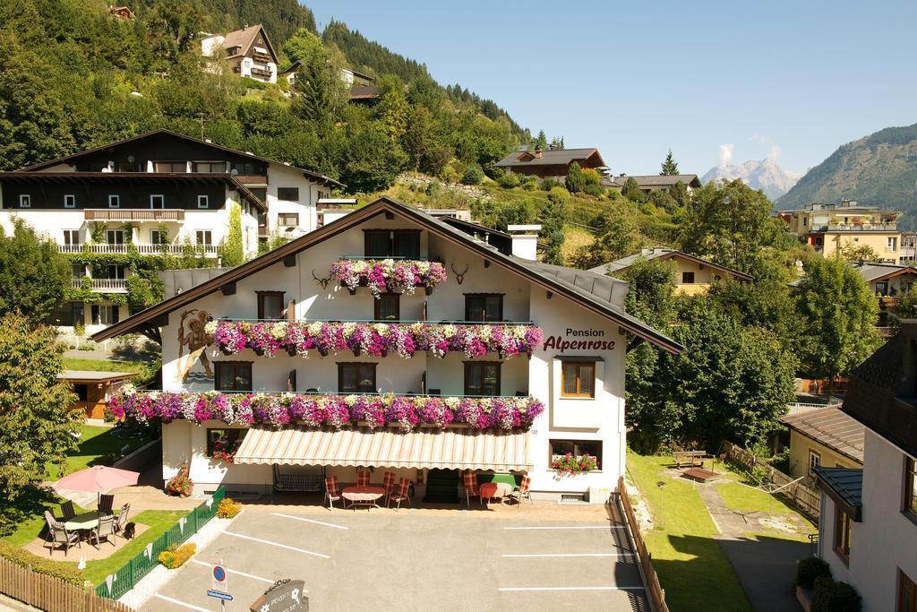 Отель Pension Alpenrose 3*
