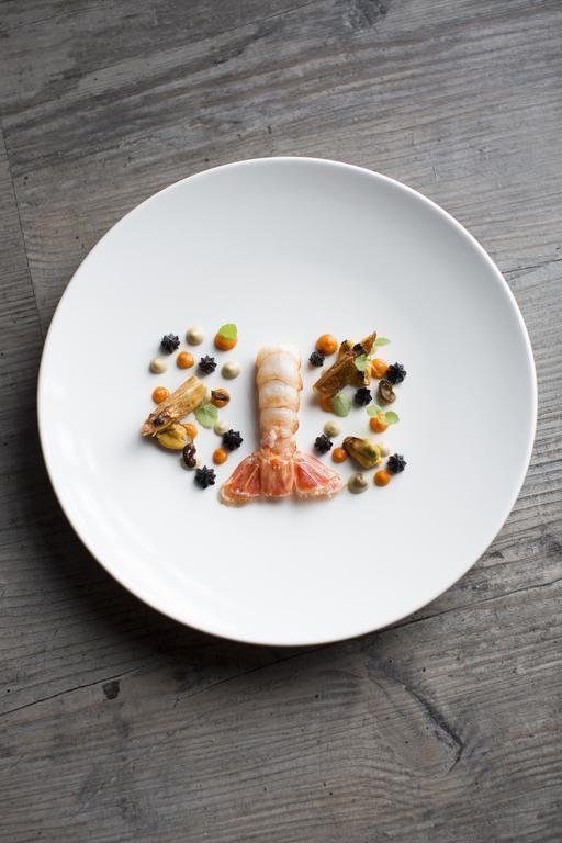 Картинка Yscla 4*