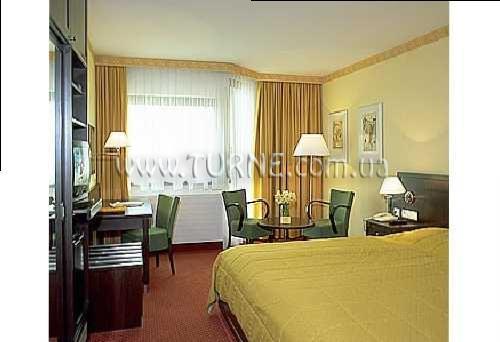 Golden tulip president. Golden tulip president