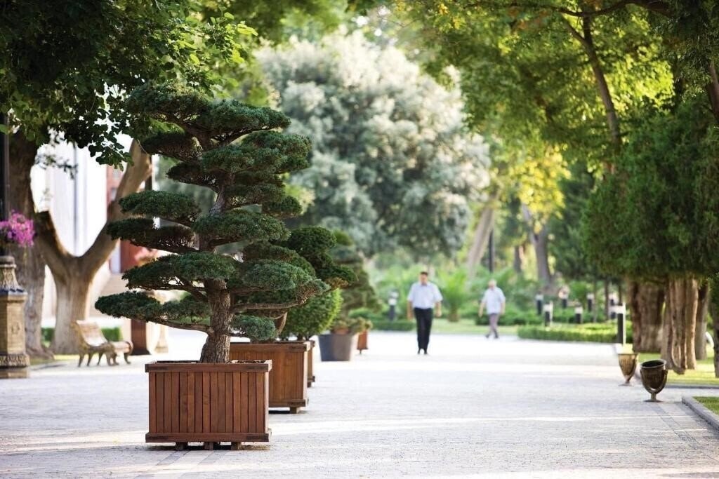 Imaginea Central Baku 4*