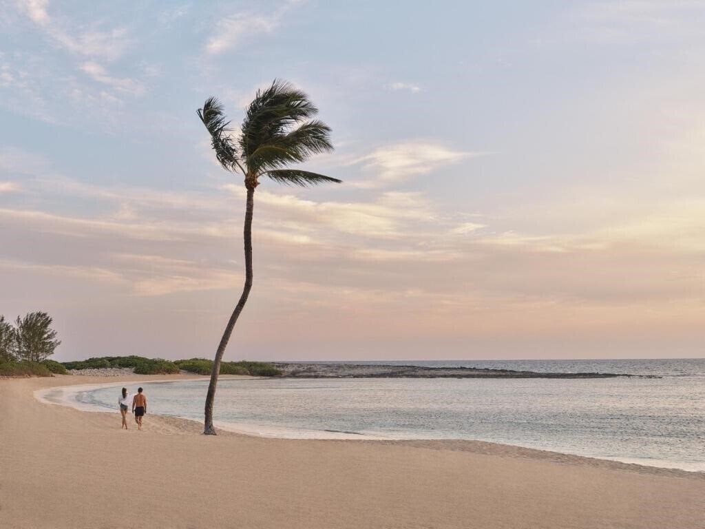 Imaginea The Cove Atlantis 4*