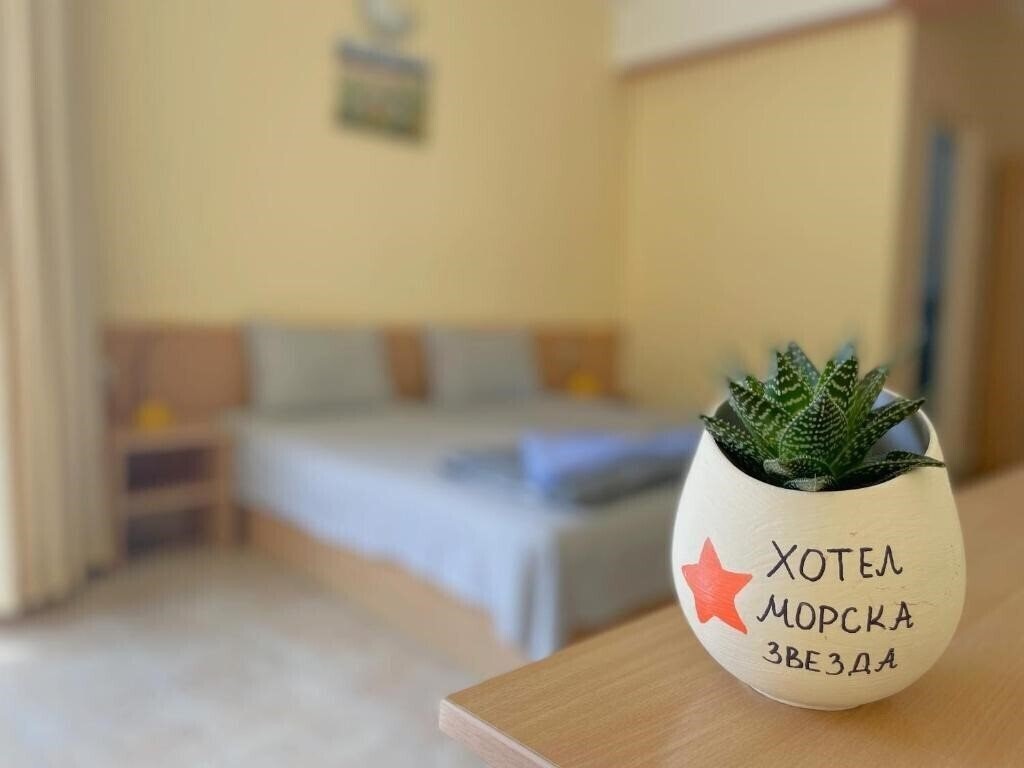 Fotografii Morska Zvezda 2*