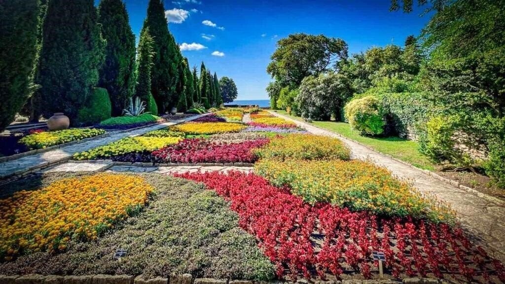 Imaginea Morska Zvezda 2*