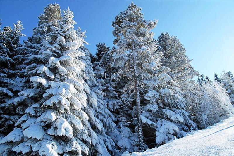 Fotografii Alexander Bansko 3*