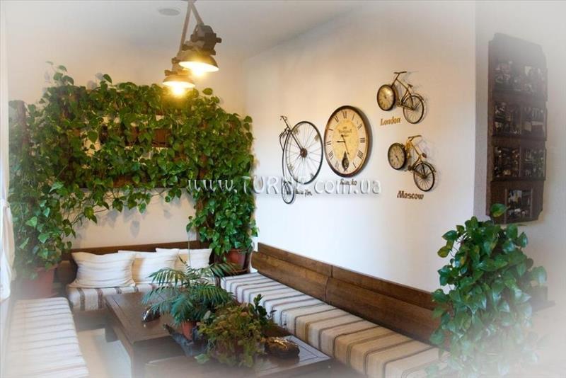 Imaginea Молерите 3*