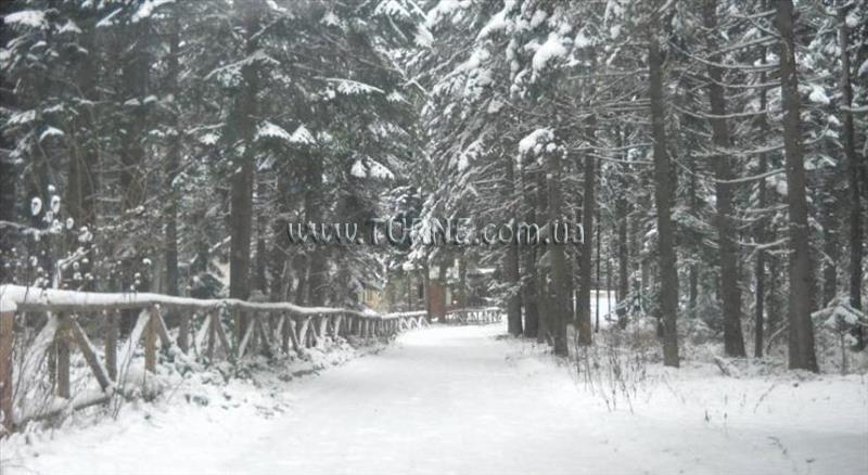 Imaginea Aparthotel Daniel Residence 4*