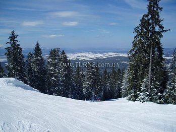 Фотография Festa Palace 4*