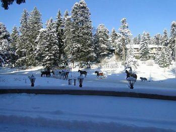 Отель Festa Palace 4*