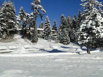 Hotel Hotel Festa Winter Palace 5*