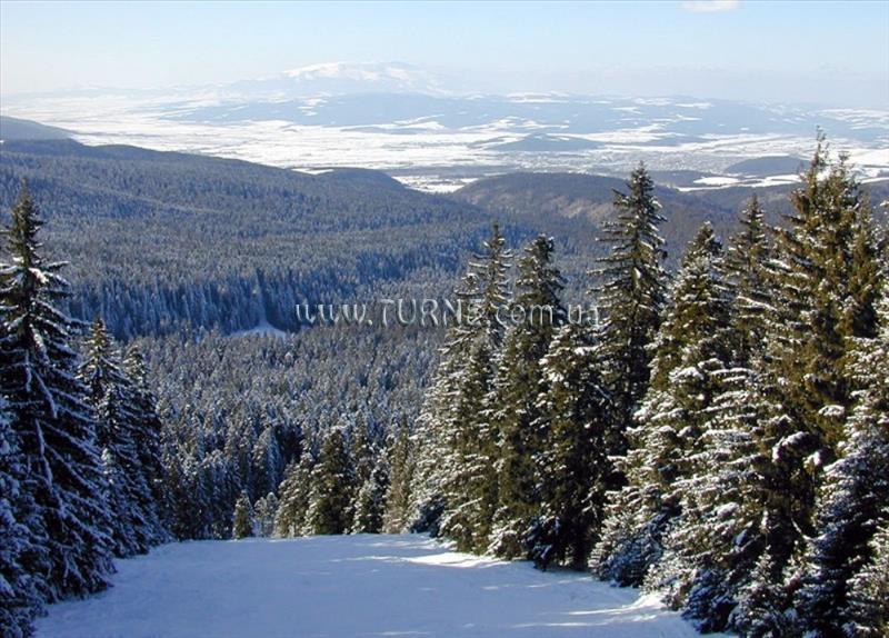 Fotografie Sveti Georgi 4*