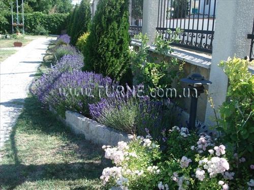 Fotografie Villa Amfora вилла