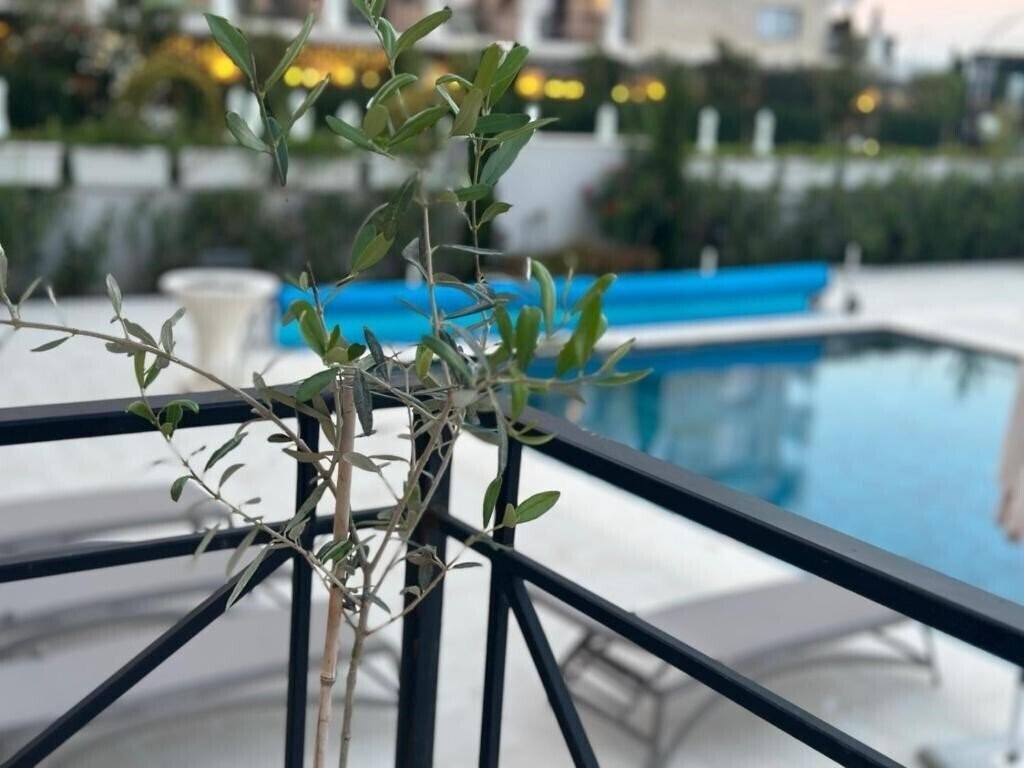 Fotografie Aquamarine Hotel Kranevo (ex. Aquamarin Krn, Aquamarine Kranevo) 4*