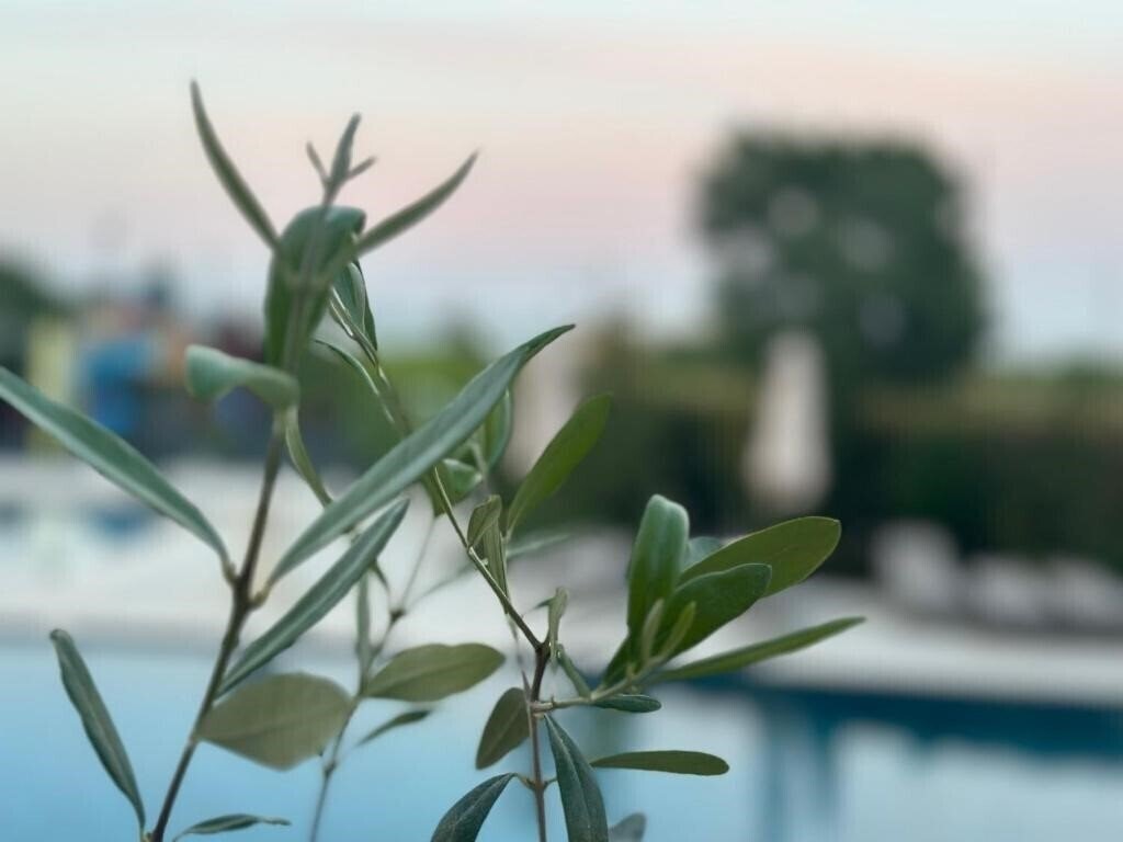 Imaginea Aquamarine Hotel Kranevo (ex. Aquamarin Krn, Aquamarine Kranevo) 4*