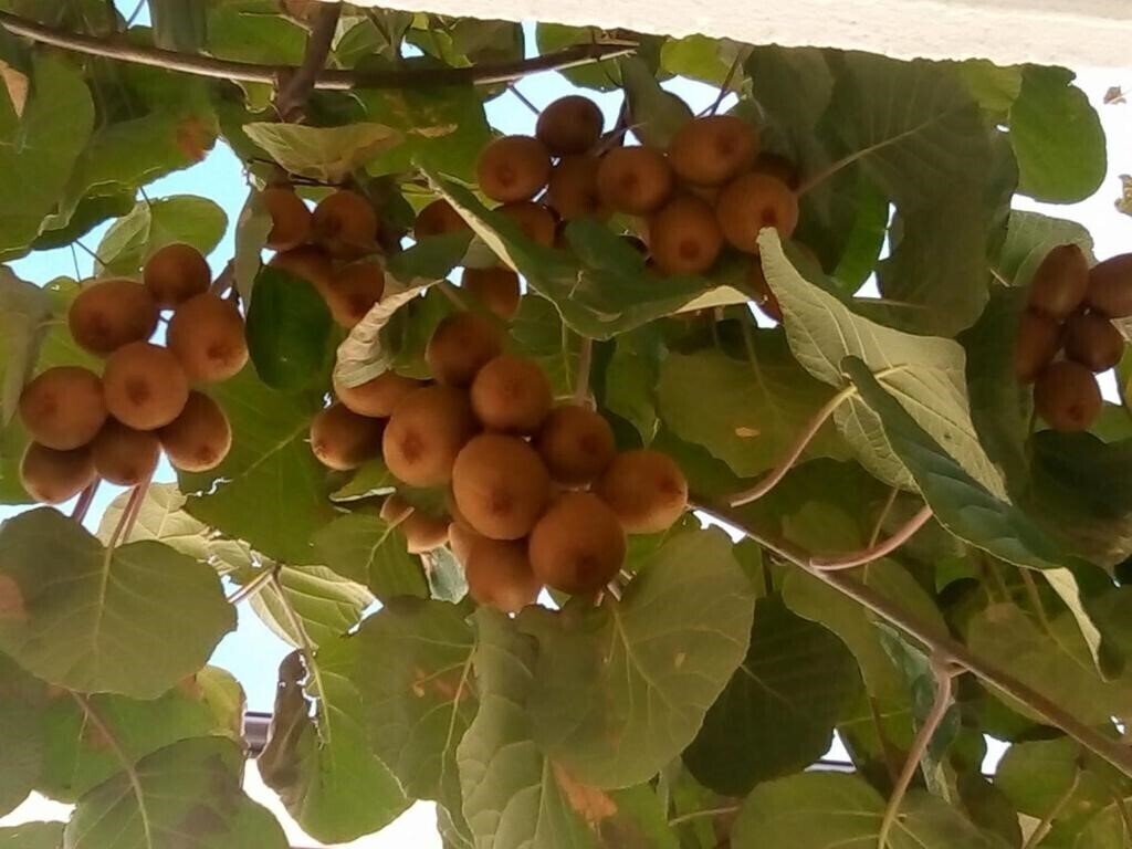 Fotografie Andreev 2*