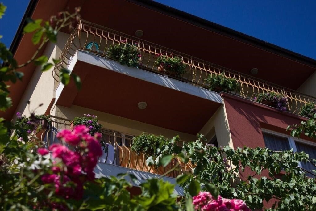 Imaginea Villa Violeta 7 3*