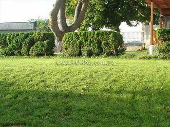 Imaginea Casa Martinez 3*