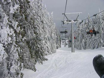 Imaginea Royal Lodge 5*