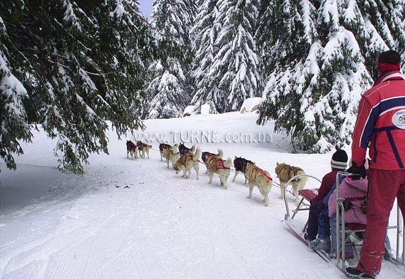 Imaginea Royal Lodge 5*