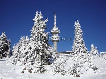 Fotografii Royal Lodge 5*