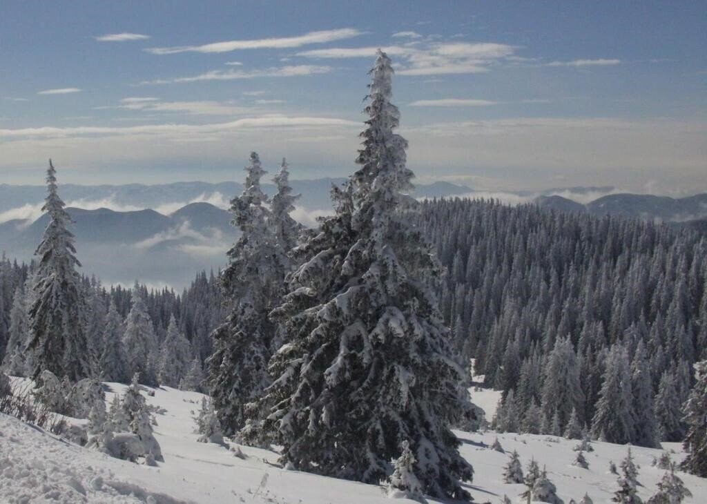 Imaginea The Castle 3*